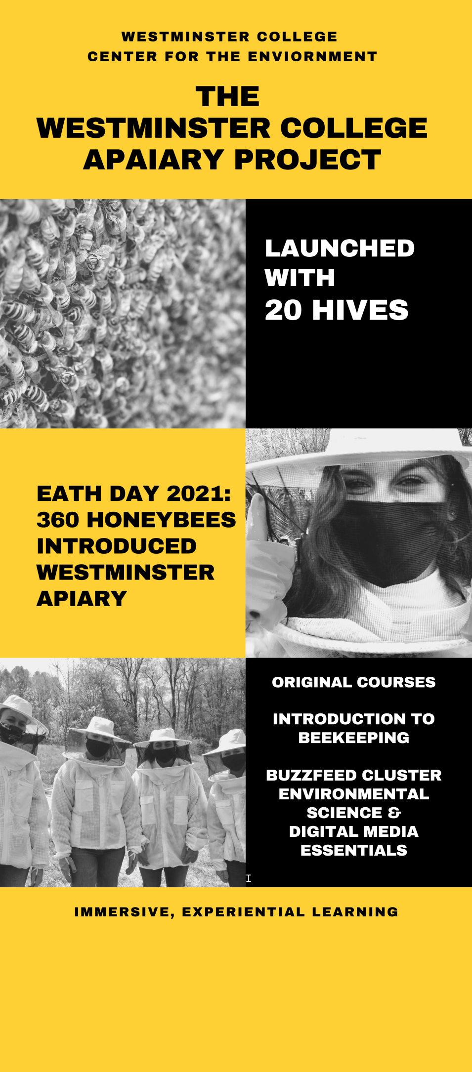 Apiary Infographic